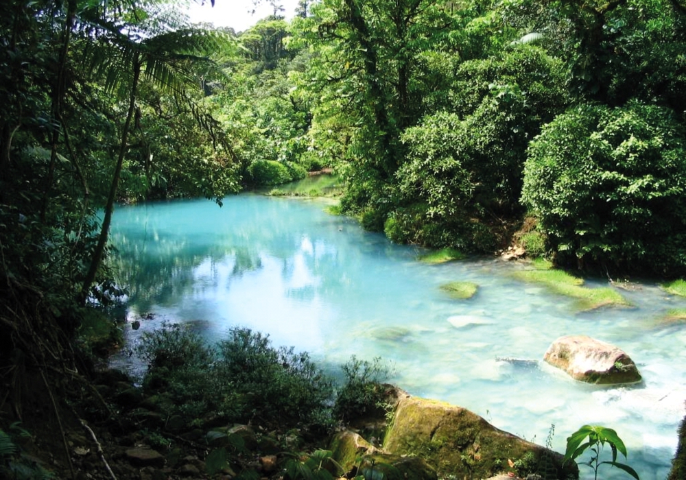 Day 06 - Tenorio Volcano National Park