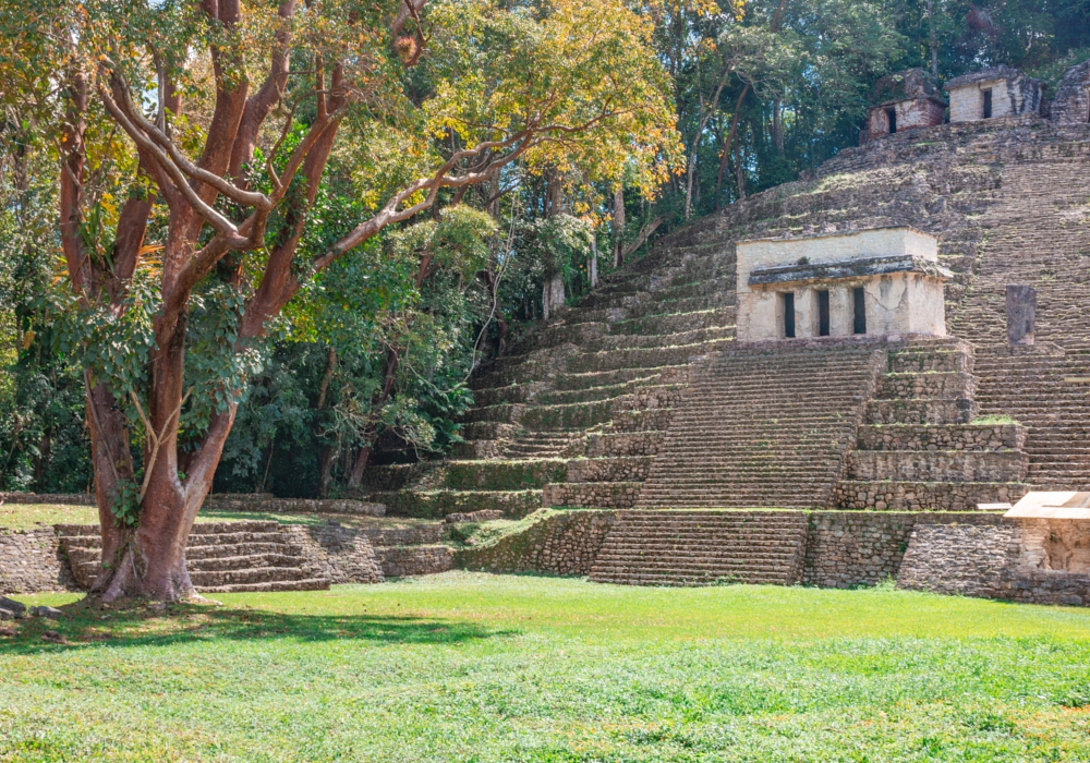 Day 06 - Yaxchitlan Maya Ruins
