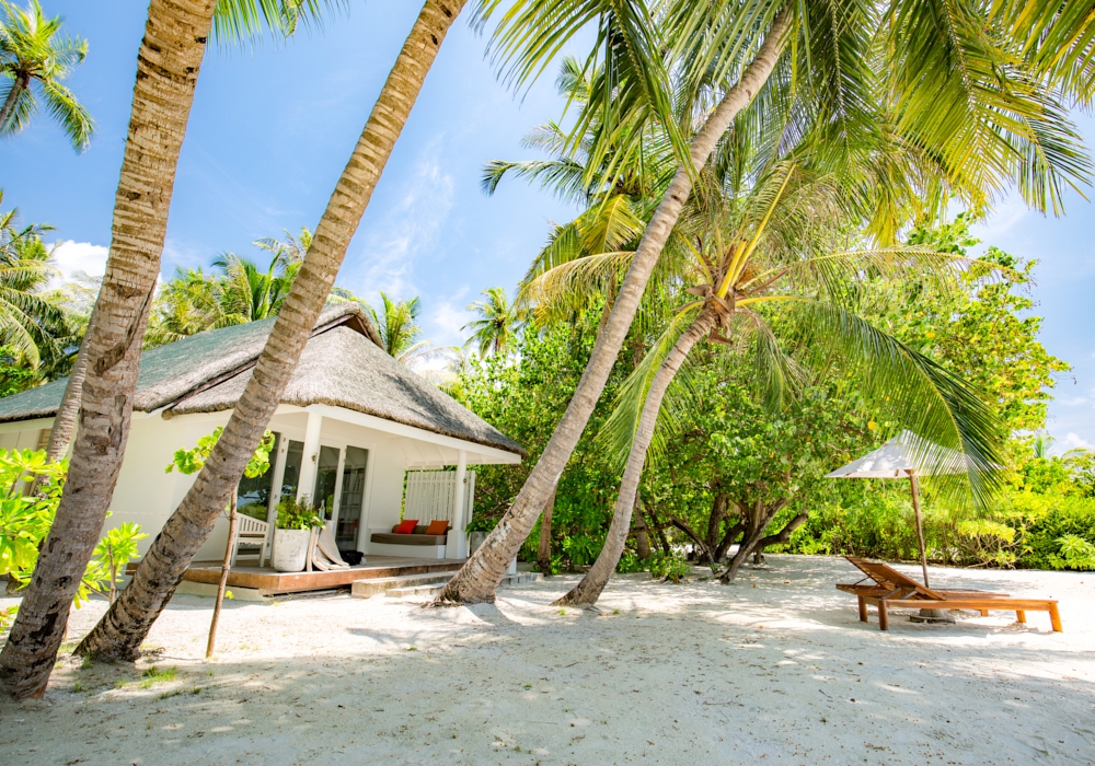 Day 07 -  Ambergris Caye