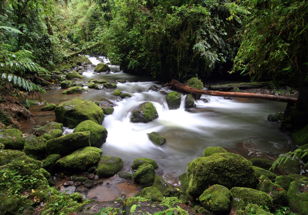 Day 07 - Arenal - Liberia