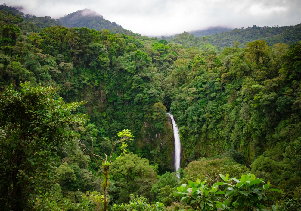 Day 07 - Arenal - Liberia