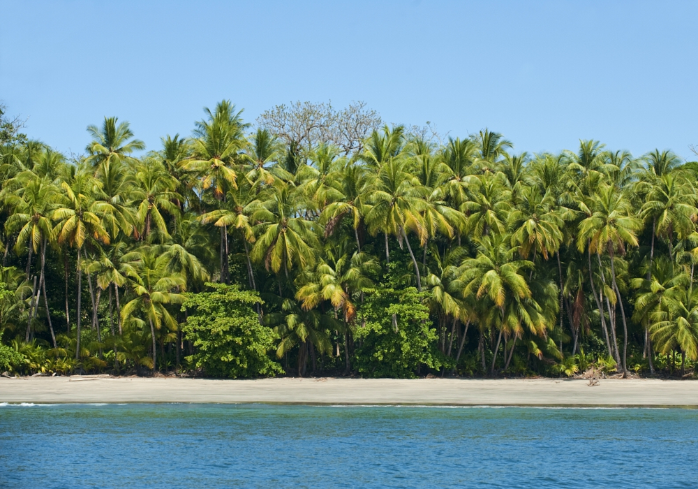 DAY 07 - Boca Chica