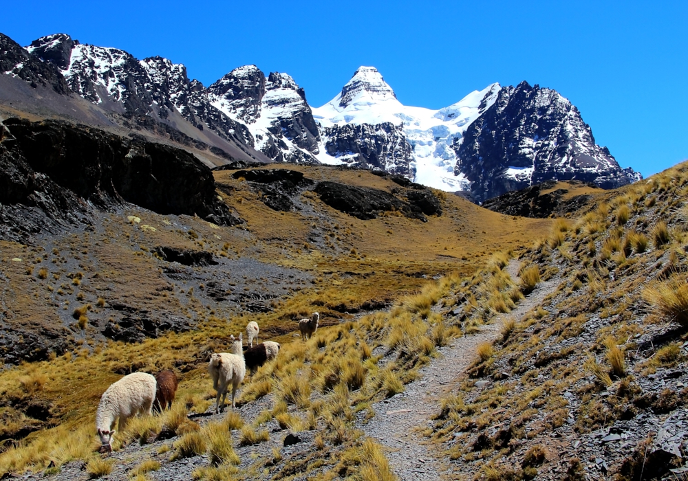 DAY 07 - CHIARKHOTA LAGOON – WICHU KHOTA LAGOON (4680 m)