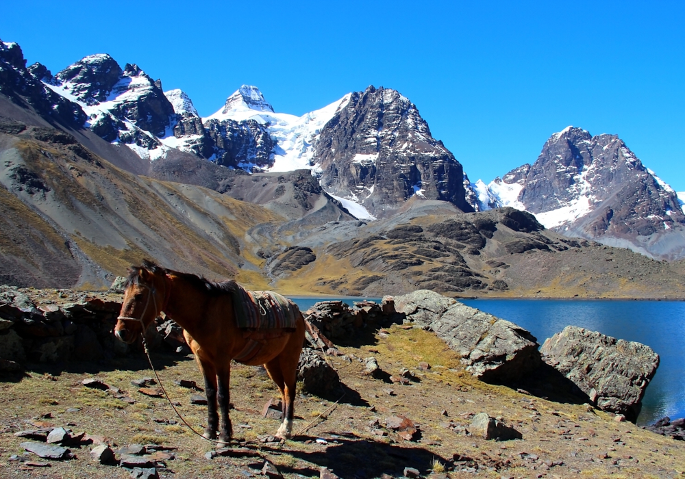 DAY 07 - CHIARKHOTA LAGOON – WICHU KHOTA LAGOON (4680 m)