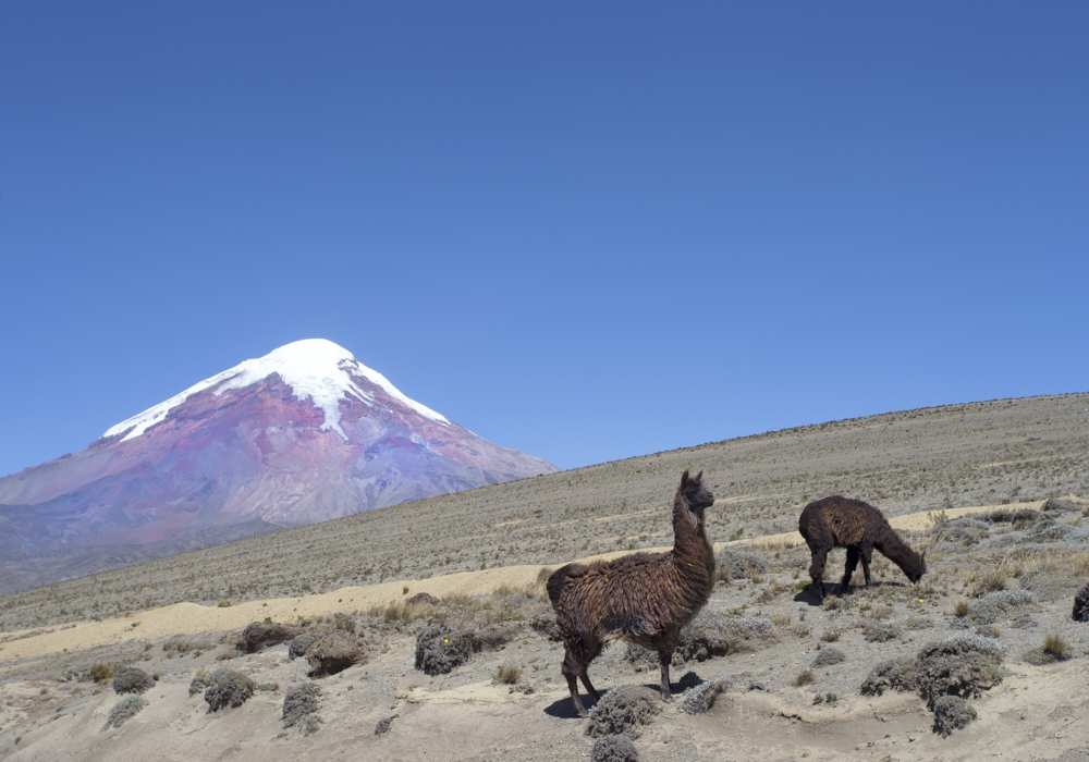 Day 07 - Chimborazo Volcano