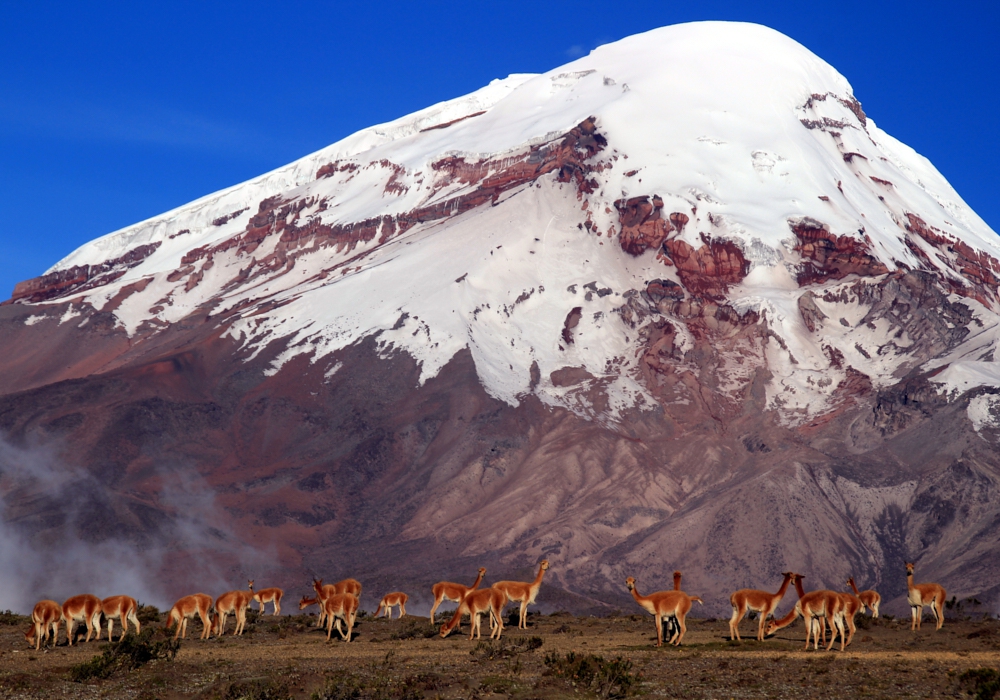 Day 07 - Chimborazo Volcano