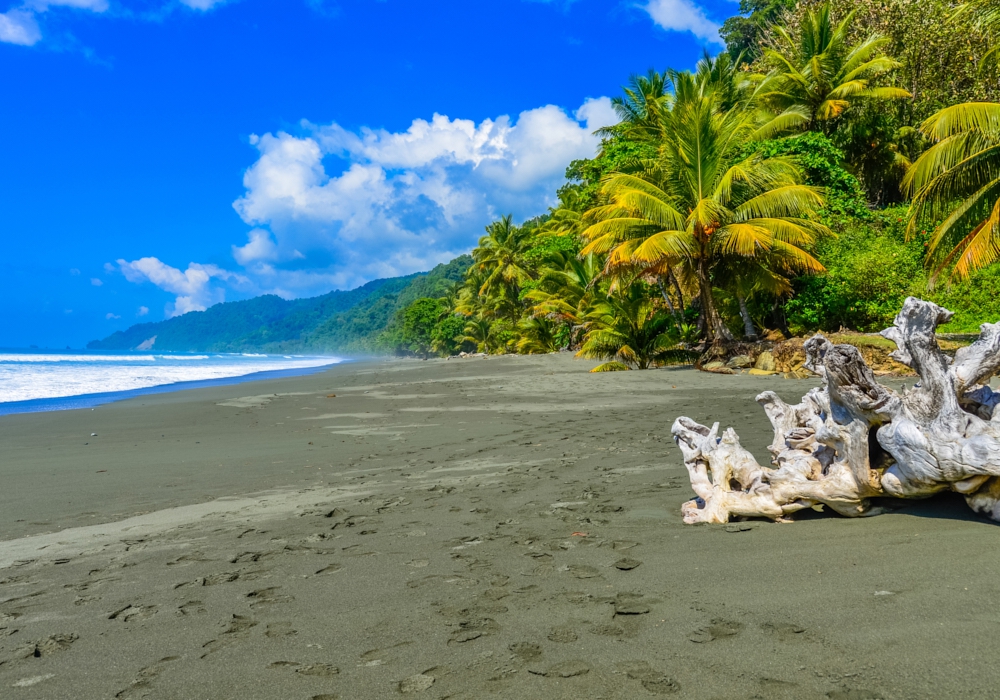 DAY 07 - Corcovado - San Jose