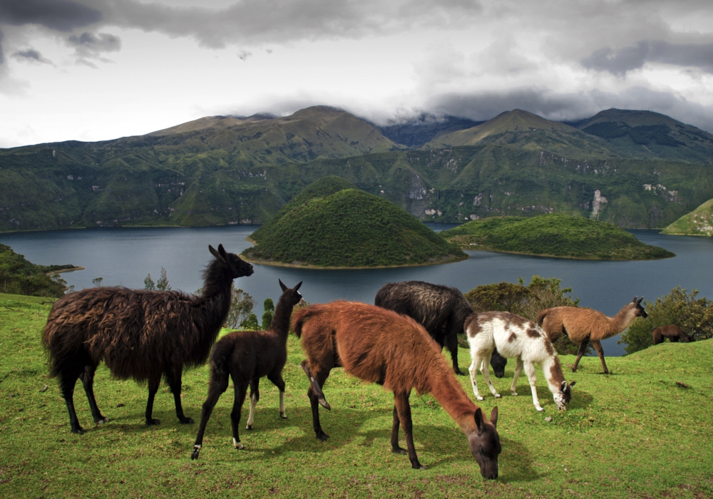 Day 07 - Cuicocha Crater Lake