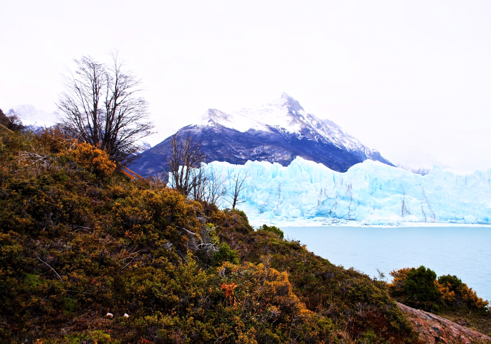 DAY 07 - El CALEFATE – PERITO MORENO GLACIER