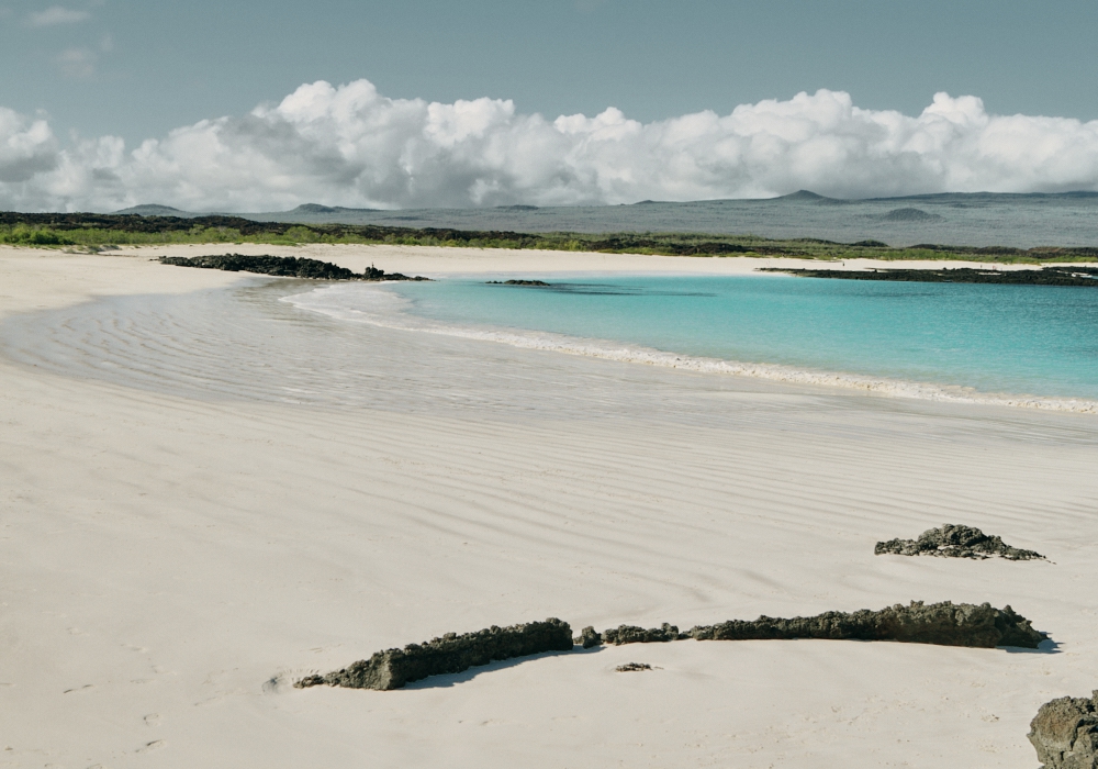 Day 07 - Galapagos