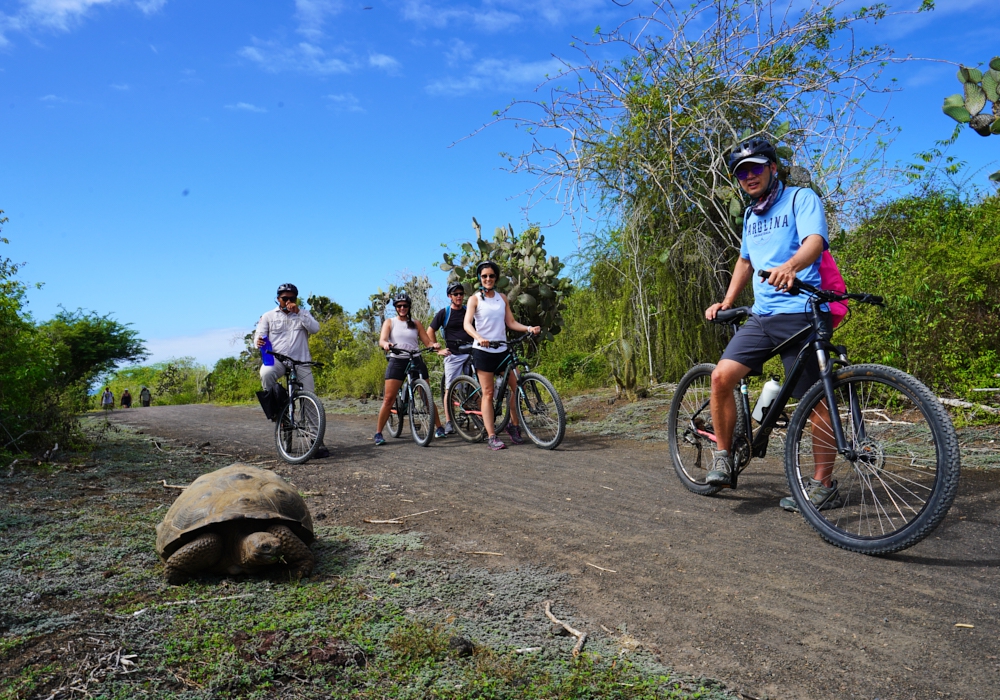 Day 07 - Galapagos