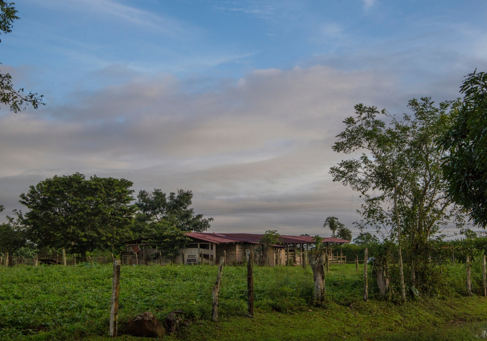 Day 07 - Golfo Dulce - Arenal - Upala