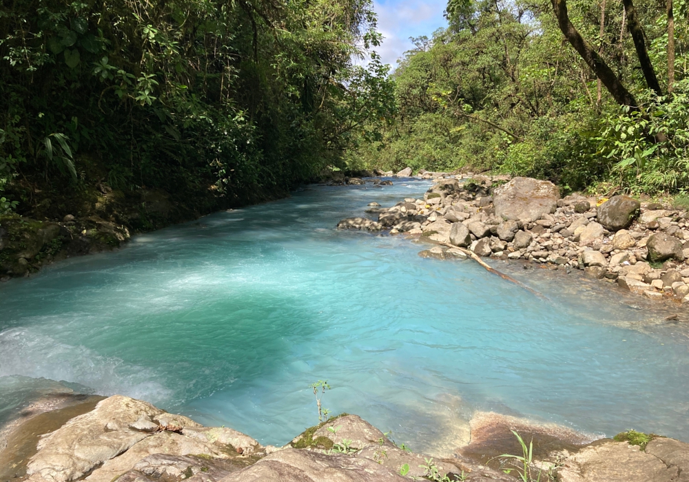 Day 07 - Golfo Dulce - Arenal - Upala