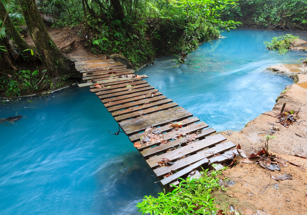 Day 07 - Golfo Dulce - Arenal - Upala