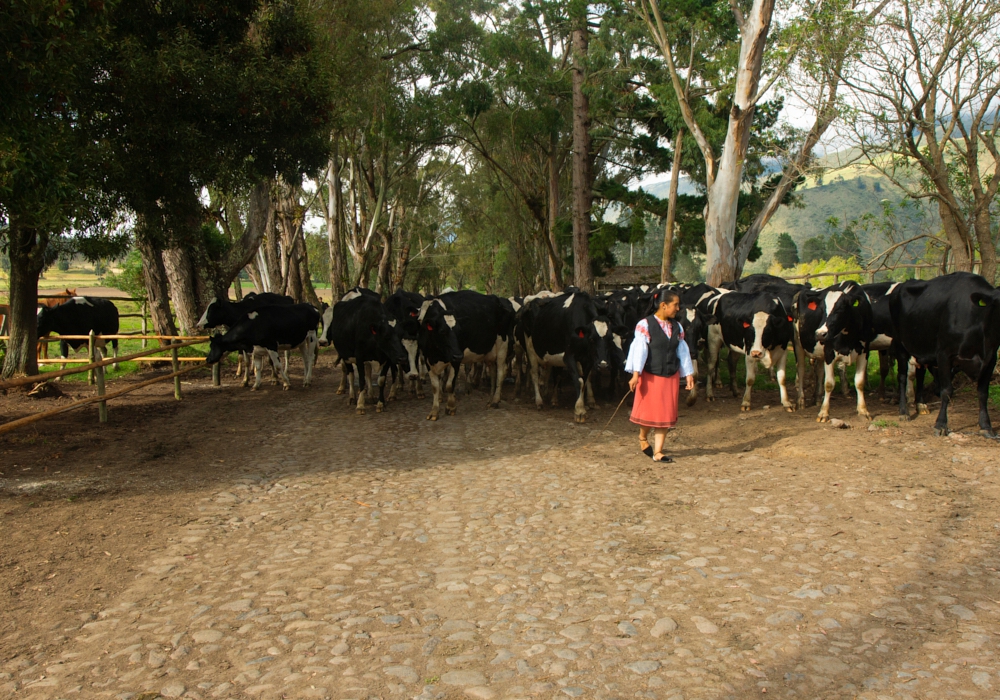 Day 07 - Hacienda Zuleta