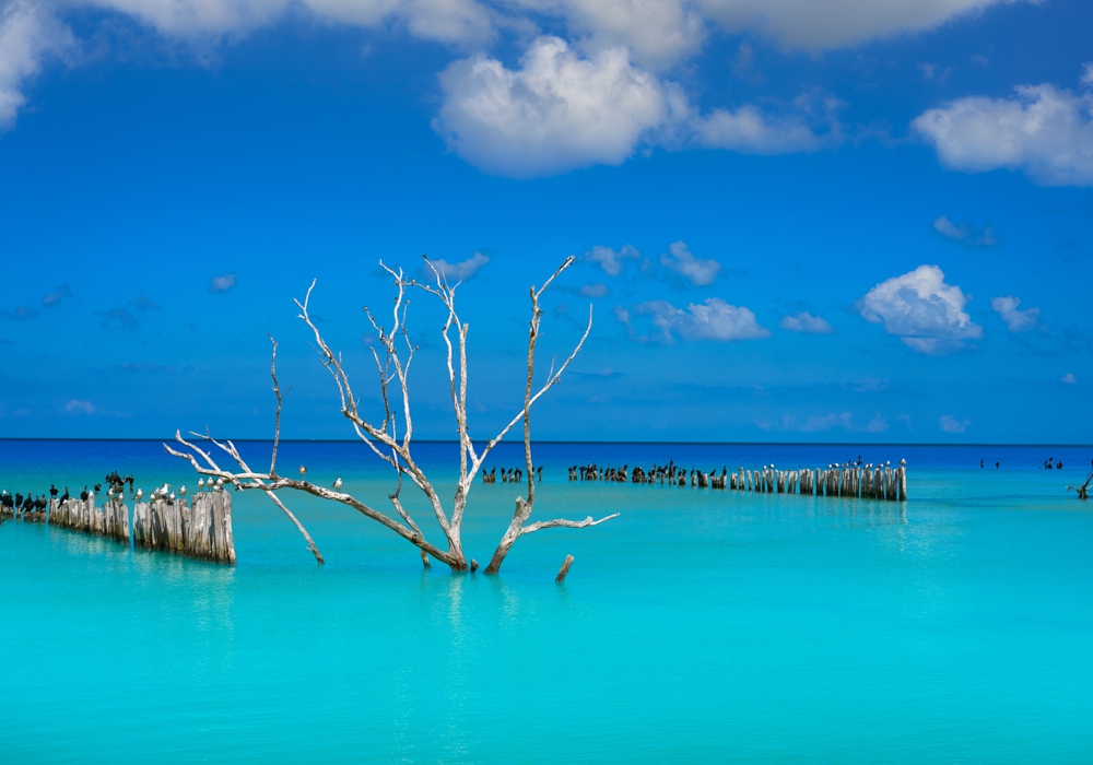 Day 07- Holbox