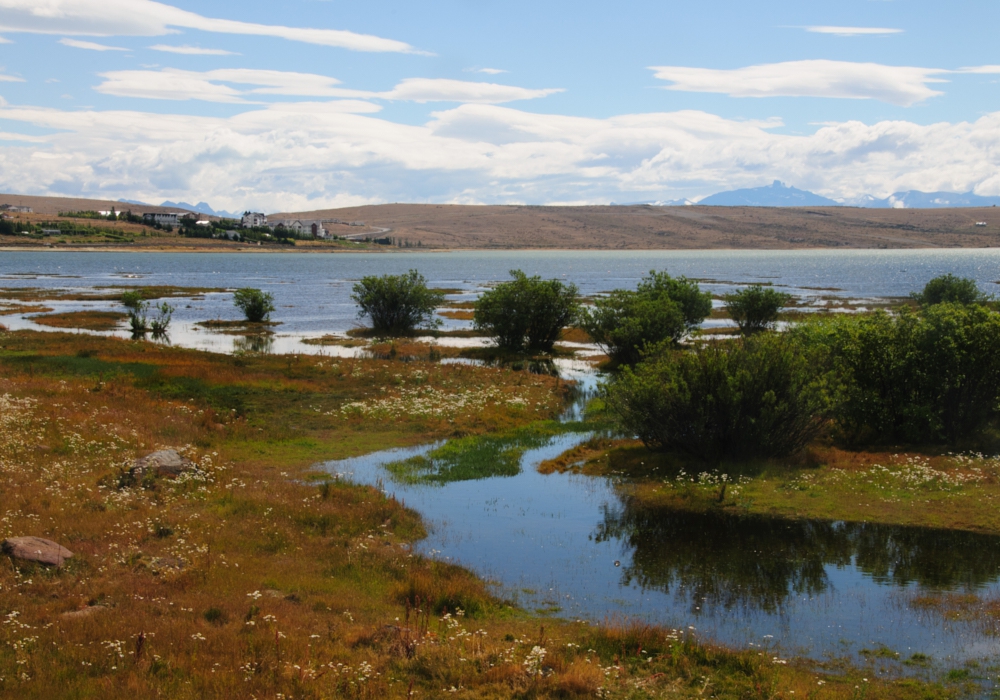 DAY 07 - LOS POTREROS - CALAFATE (NIBEPO AIKE)