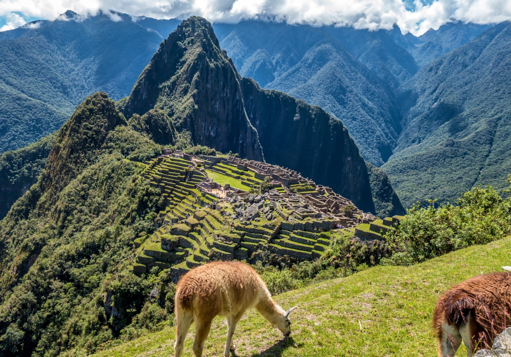 Day 07 - Machu Picchu in all its Glory (and Return to Cusco)