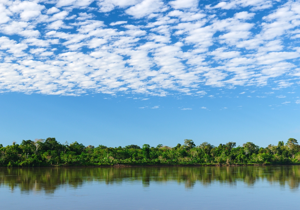 Day 07- Manaus Amazon Jungle