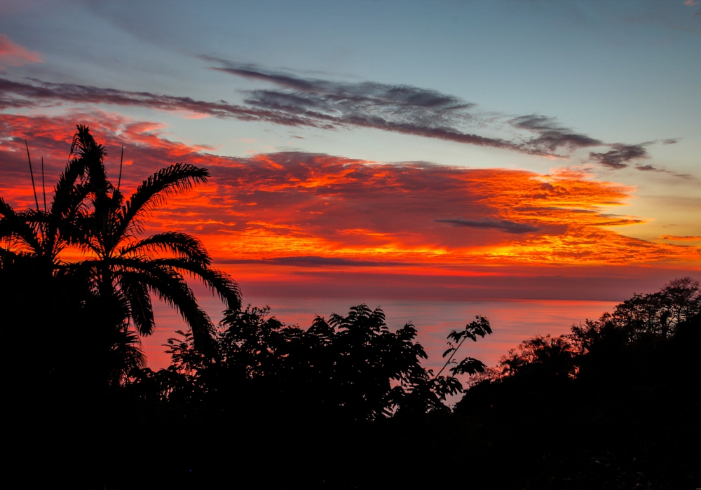 Day 07 - Manuel Antonio National Park