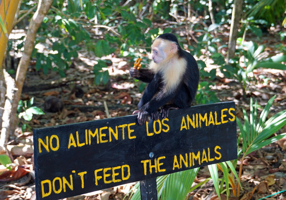 Day 07 - Manuel Antonio National Park