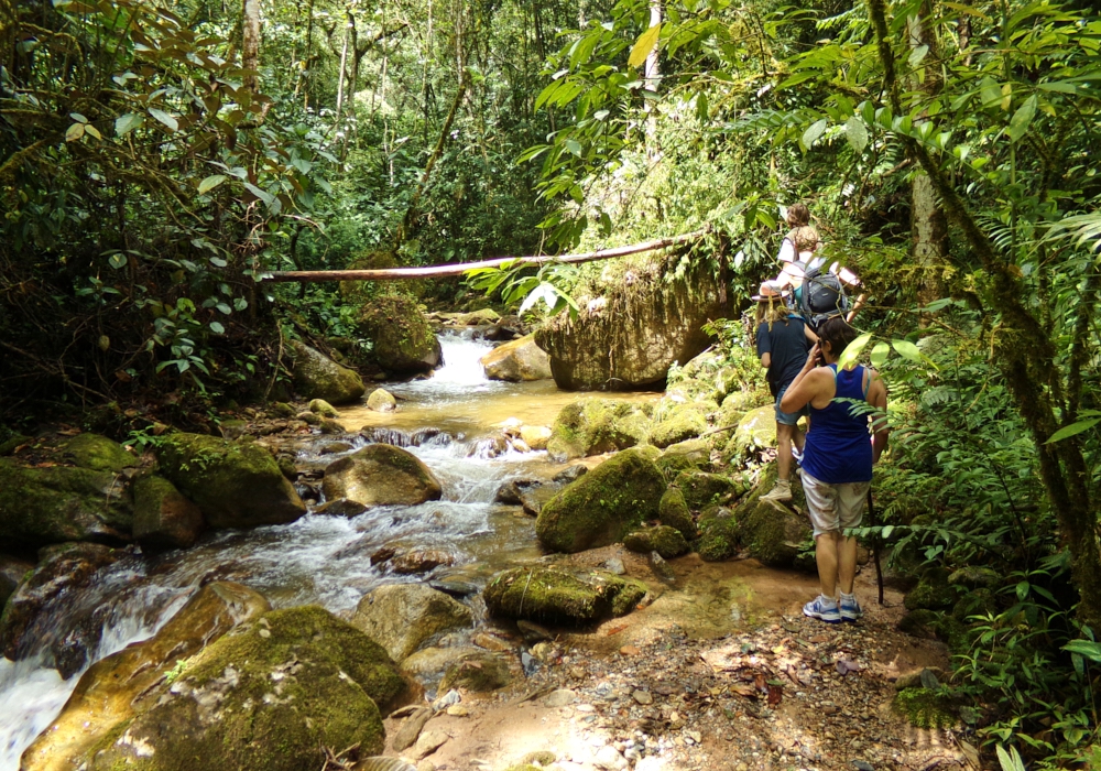 DAY 07 - Medellin -  La Miel Eco Hike