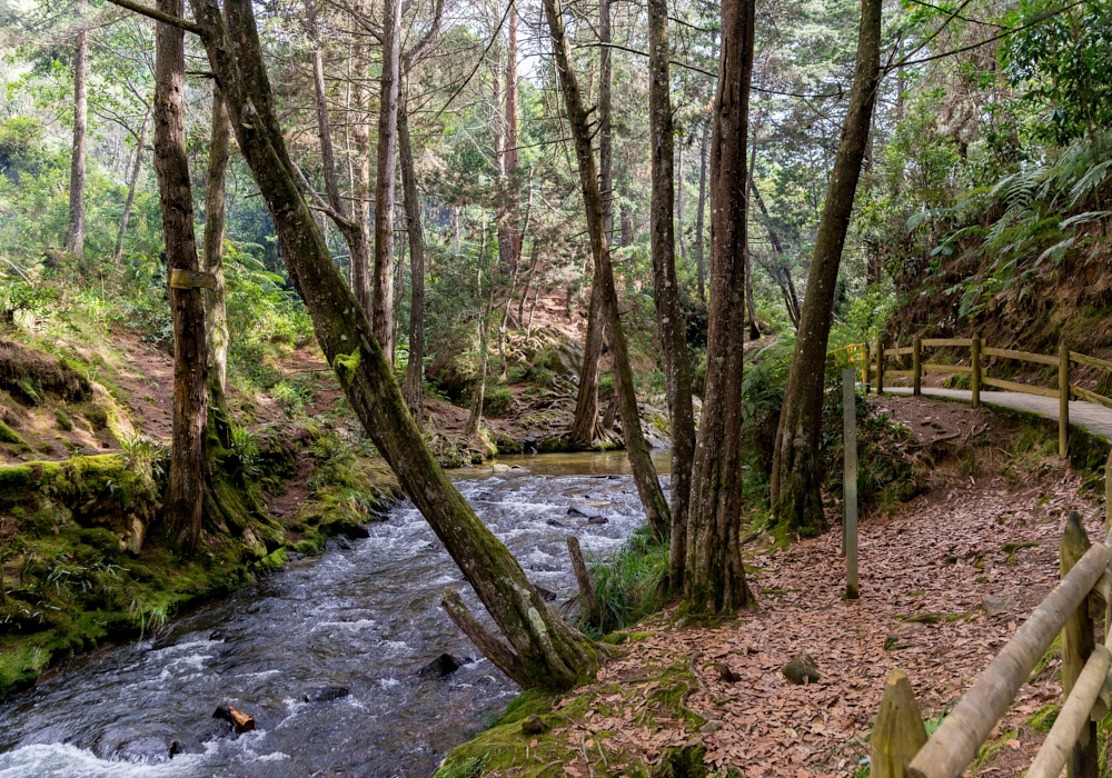 DAY 07 - Medellin -  La Miel Eco Hike