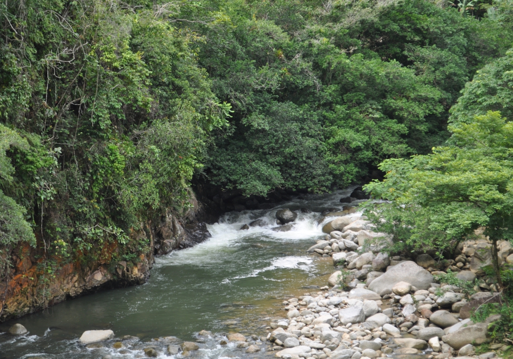 DAY 07 - Medellin - La Miel Eco Hike