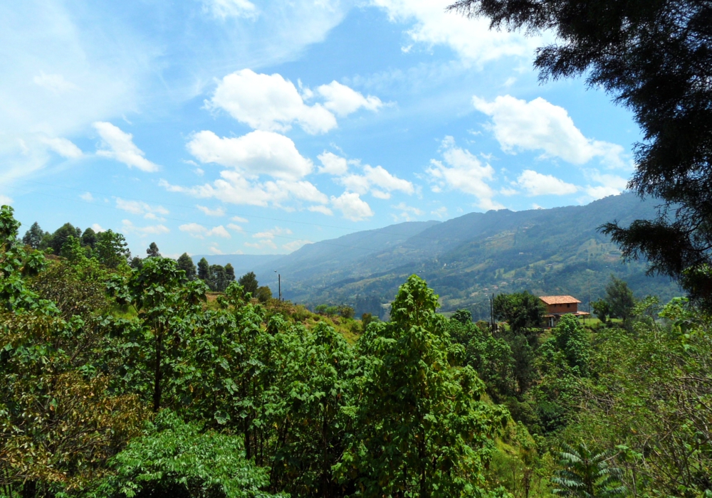 DAY 07 - Medellin -  La Miel Eco Hike