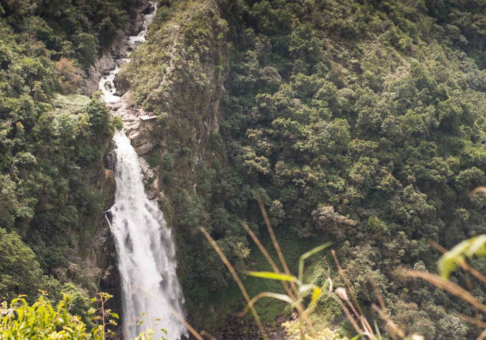 DAY 07 - Medellin - La Miel Eco Hike