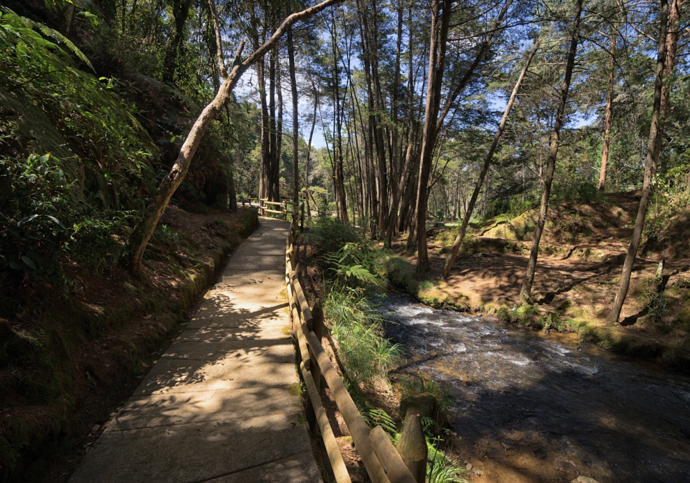 DAY 07 - Medellin -  La Miel Eco Hike