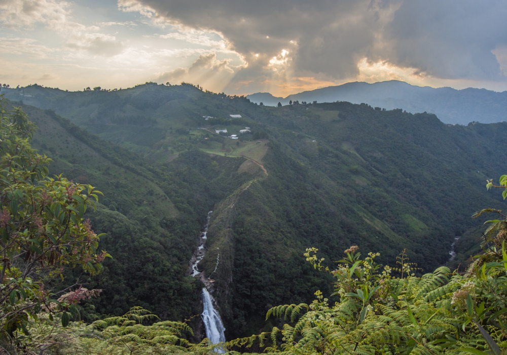 DAY 07 - Medellin - La Miel Eco Hike