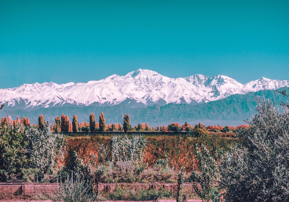 DAY 07 - MENDOZA