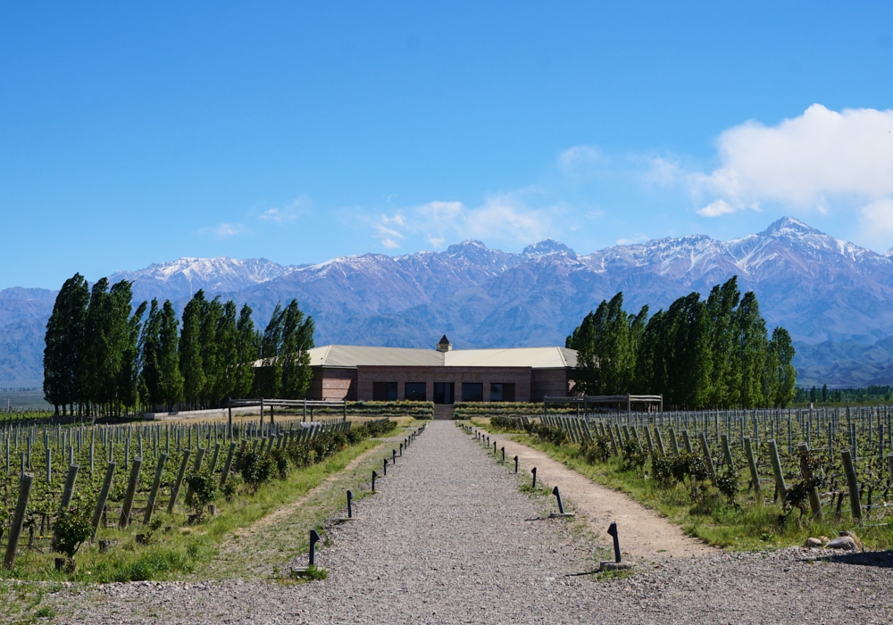 DAY 07 - MENDOZA