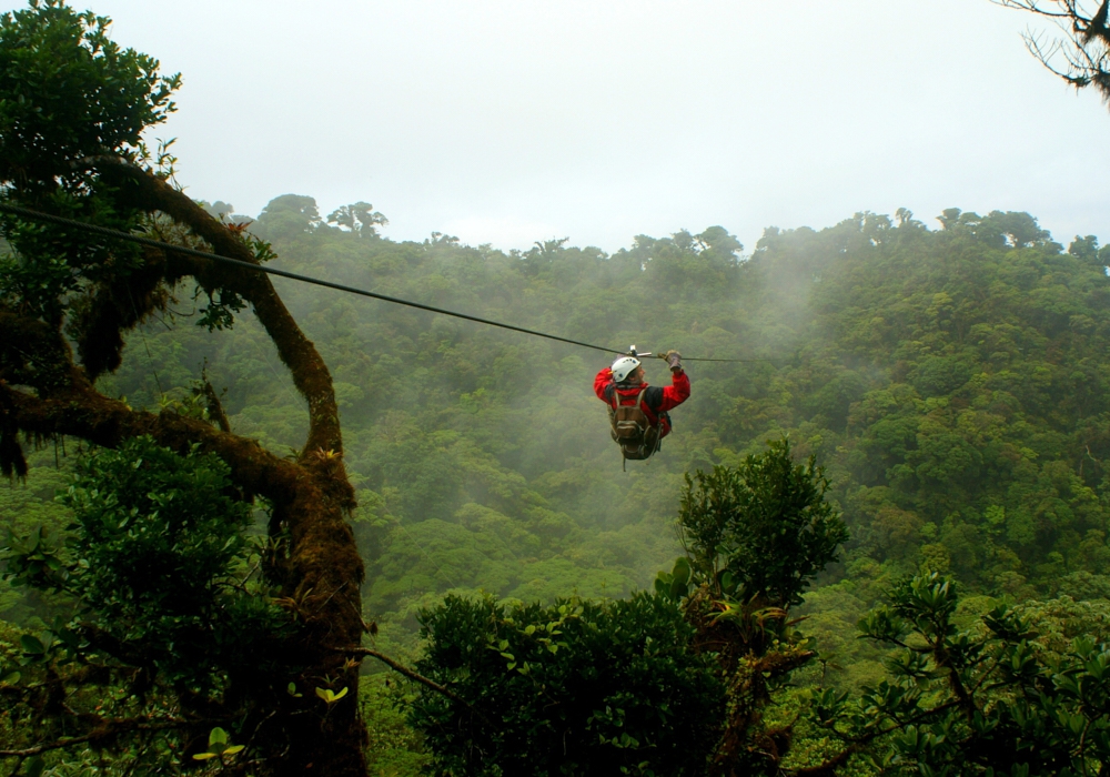 Day 07 – Monteverde Cloud Forest