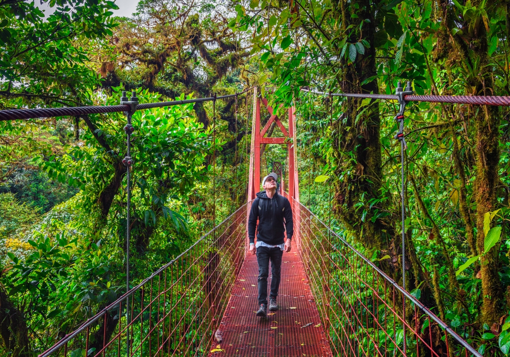 Day 07 – Monteverde Cloud Forest