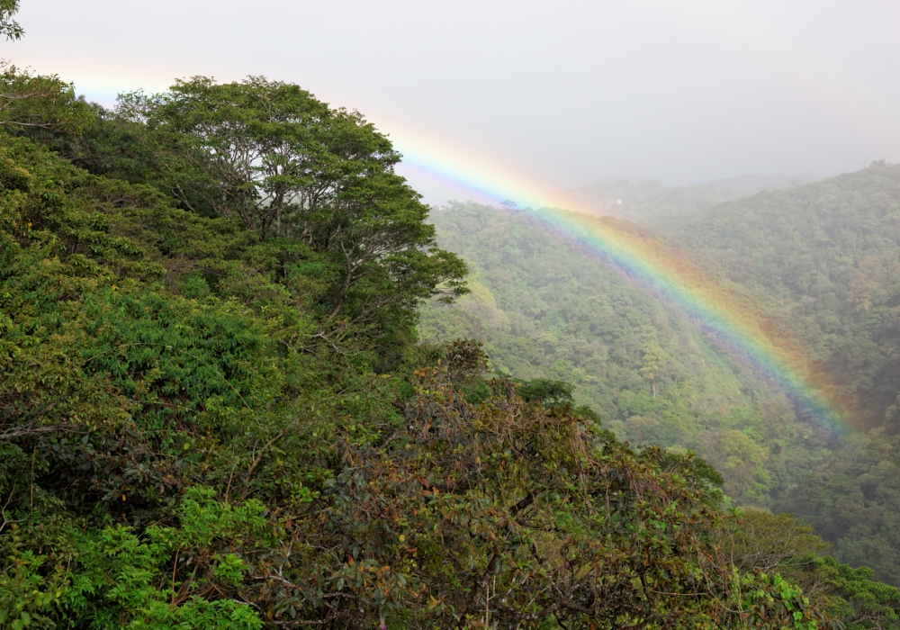 Day 07 – Monteverde Cloud Forest