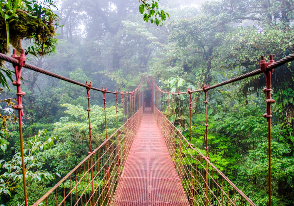 Day 07 – Monteverde Cloud Forest