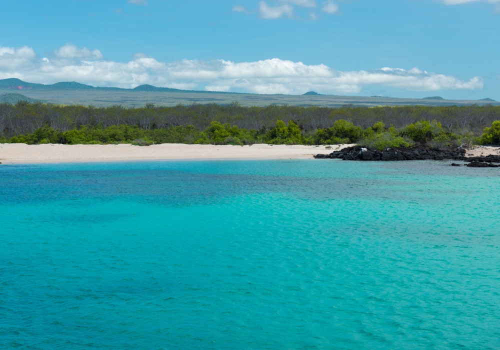 DAY 07 - North Seymour Island and Bartolome and Sullivan Bay