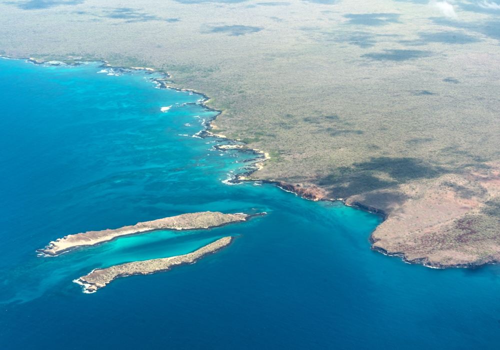 DAY 07 - North Seymour Island and Bartolome and Sullivan Bay