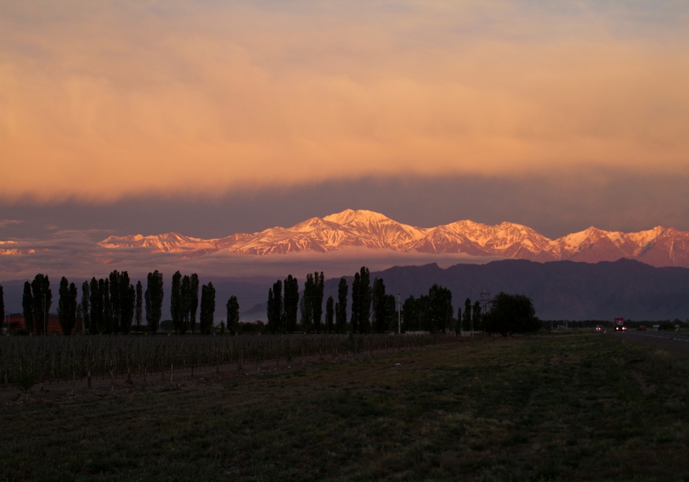 DAY 07 - PUERTO BEMBERG - MENDOZA