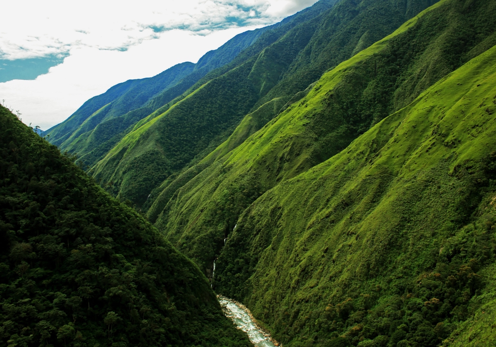 DAY 07- TARIJA