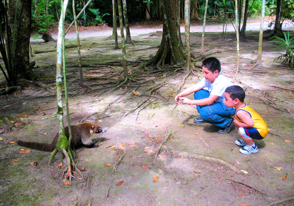 Day 07 - Tikal National Park