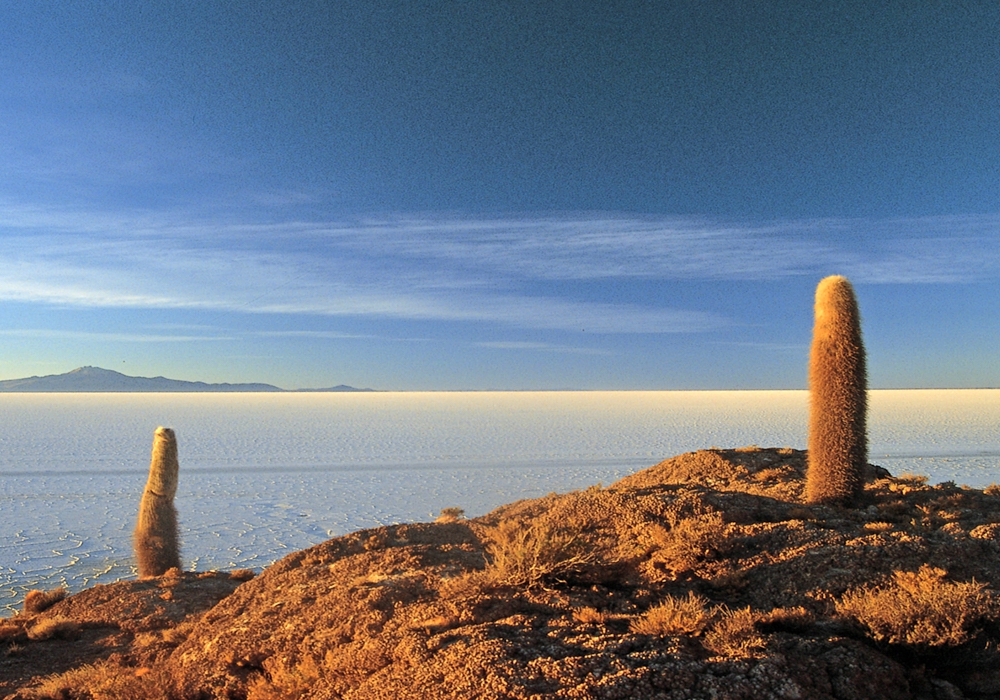 DAY 07 - UYUNI