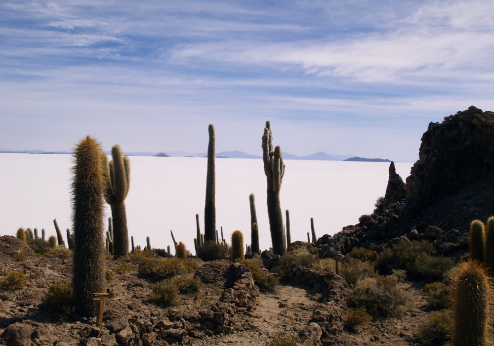 Day 07- Uyuni