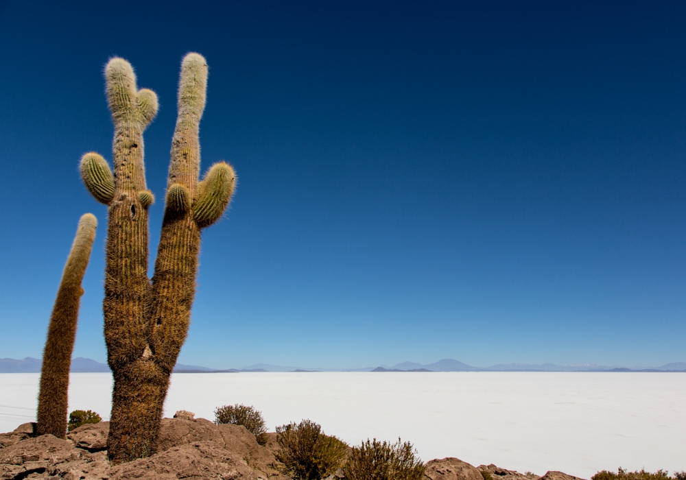 Day 07- Uyuni