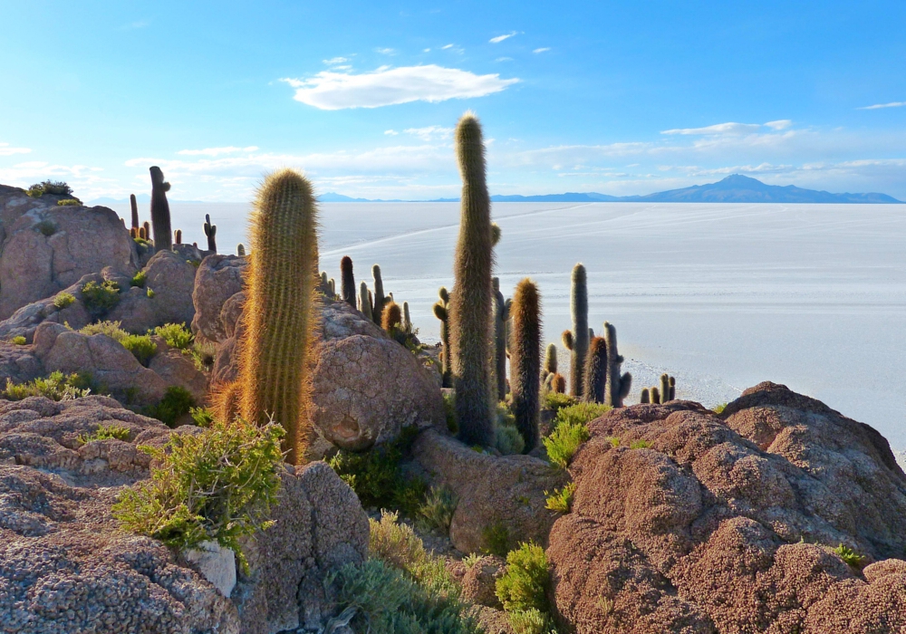 DAY 07 -  UYUNI