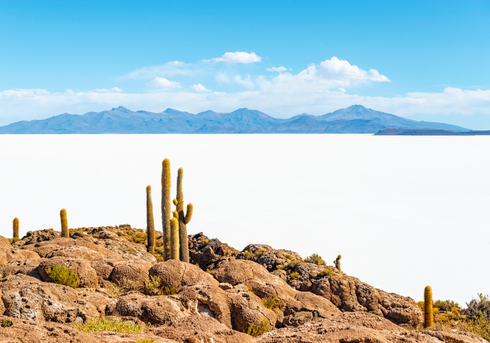 Day 07- Uyuni