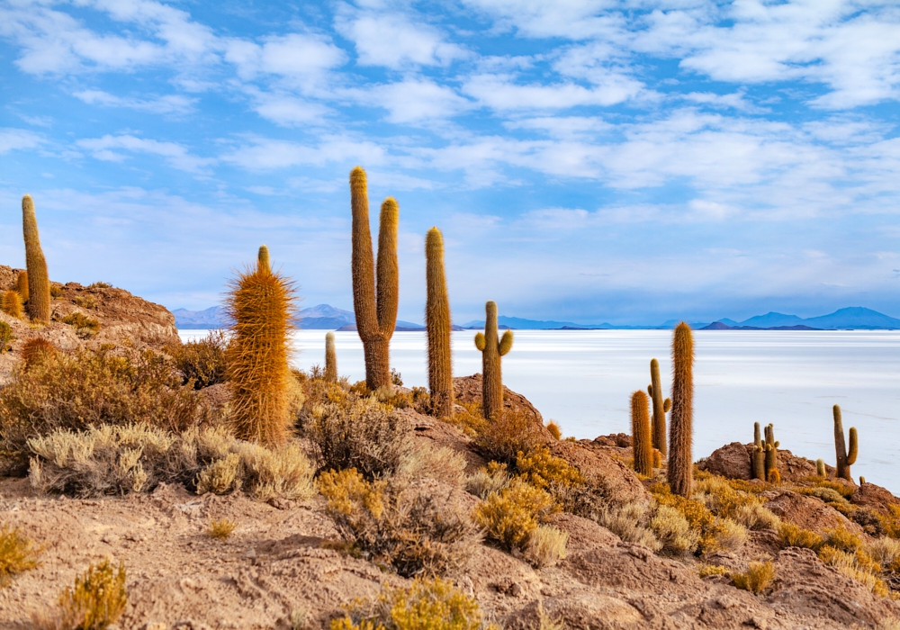 Day 07- Uyuni