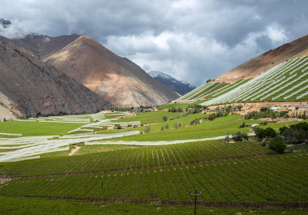 Day 07 – Valparaiso - Colchagua